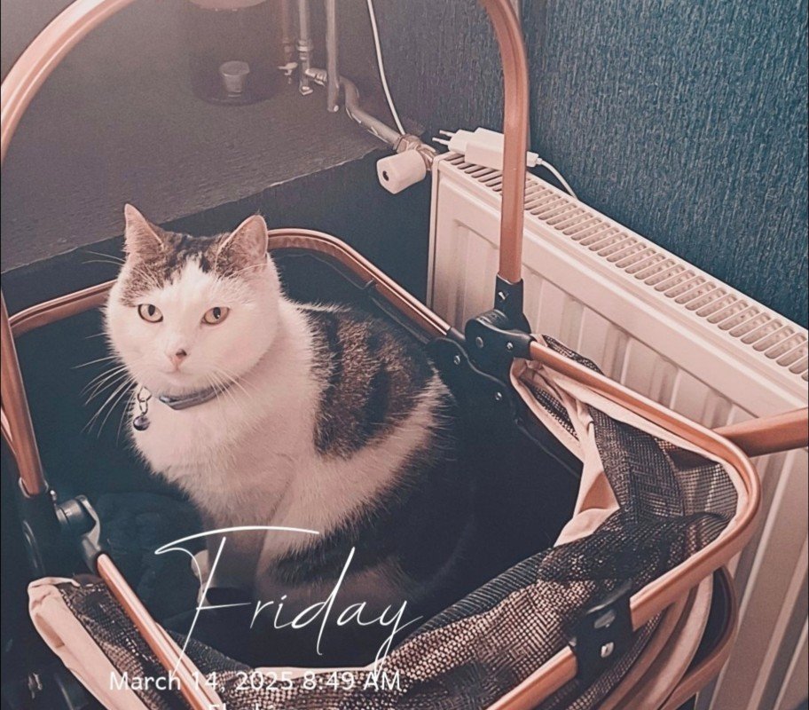 Nala