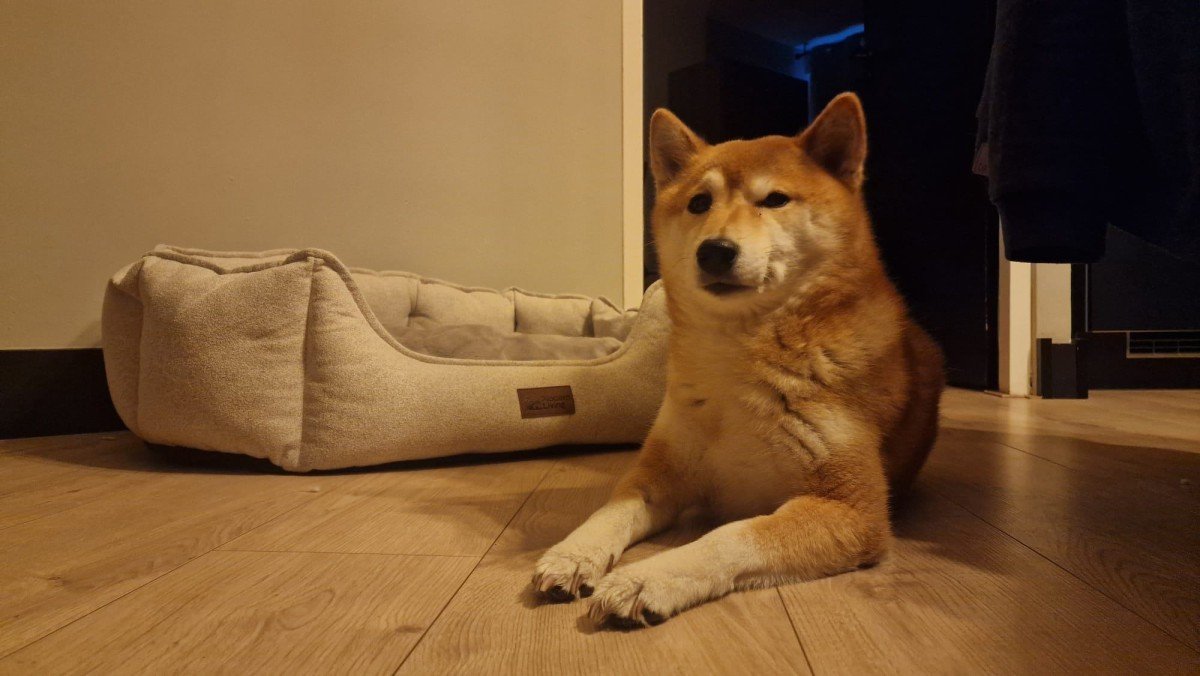 Kensha