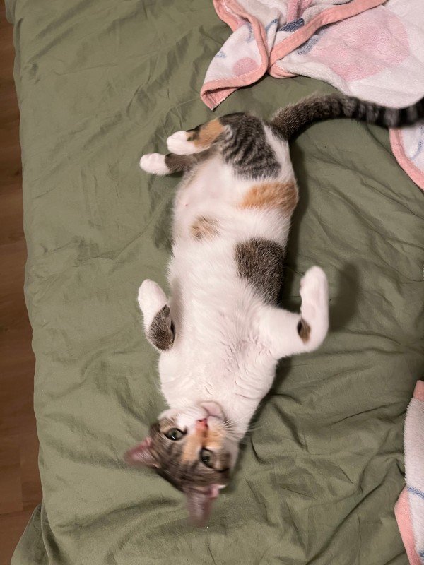 Luna