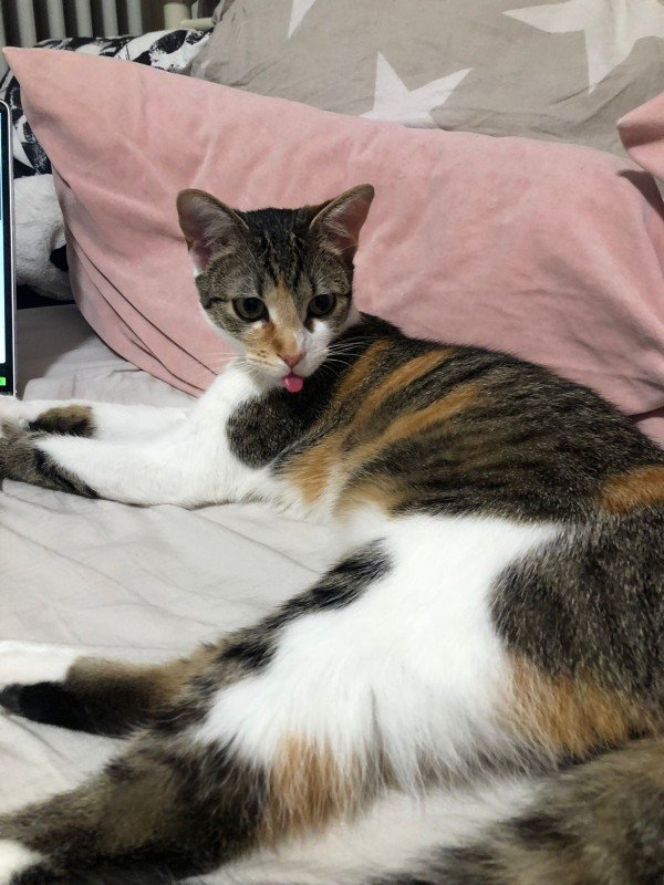 Luna