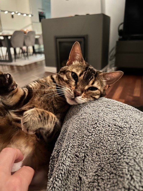 Nala