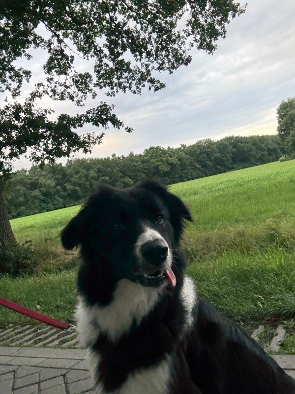 Ellie