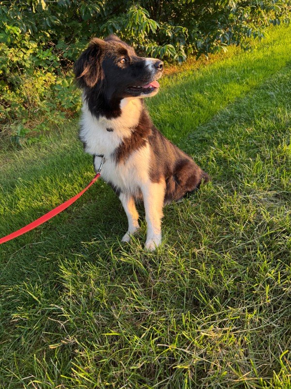 Ellie