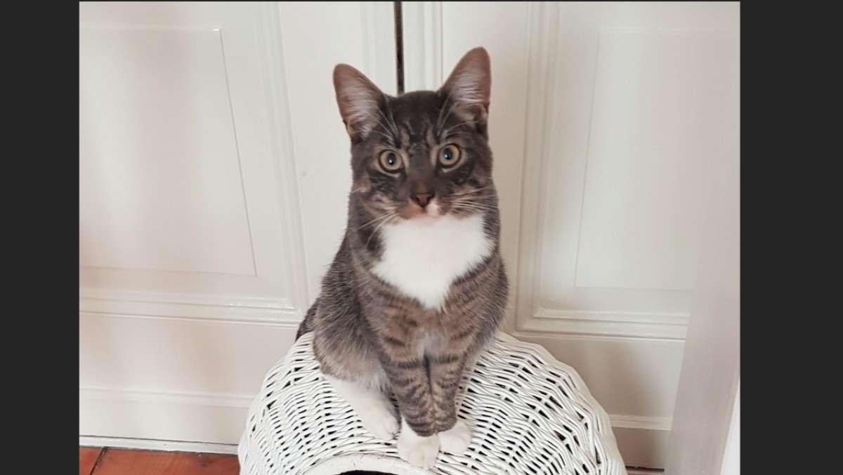 Victor