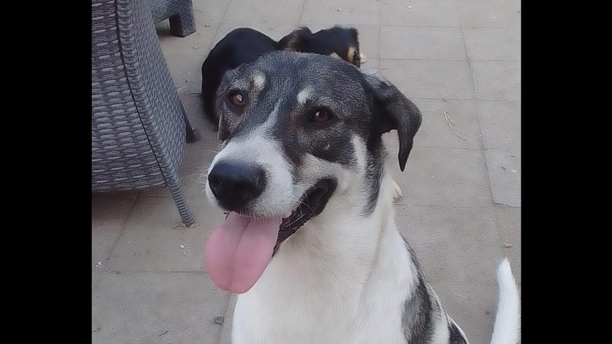 Nadia