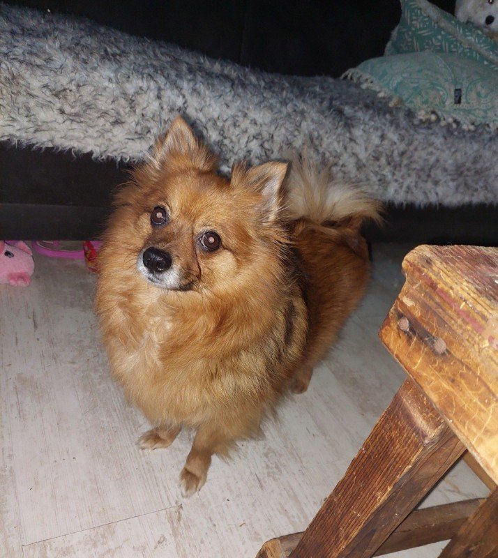 Lieve