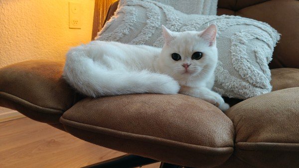 Yuki