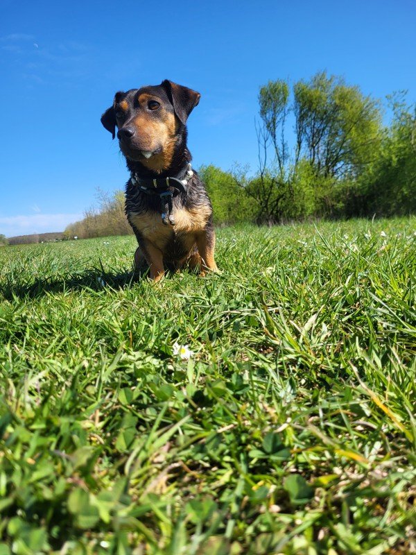 Jaxx