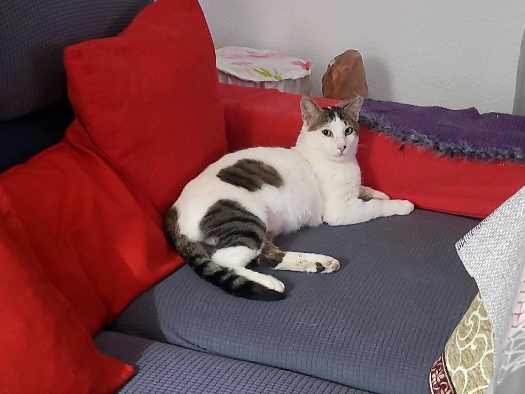 Zeus