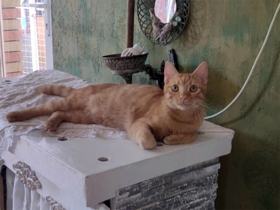 Romeo
