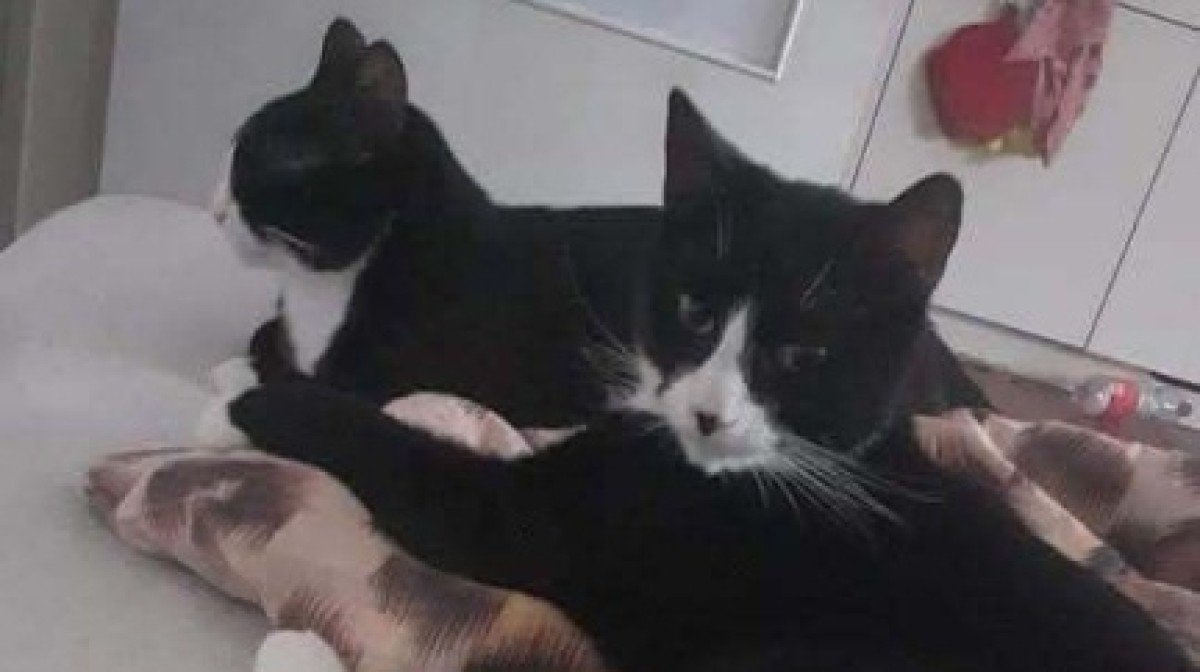 Gizzy en Doerak