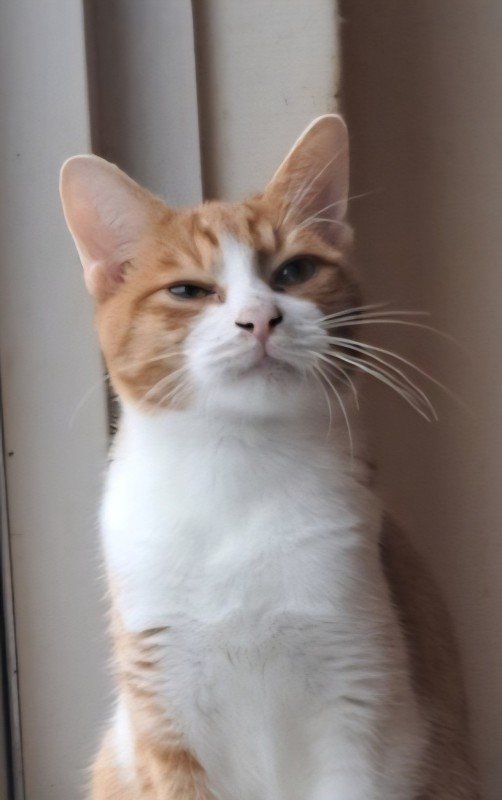 Sammy