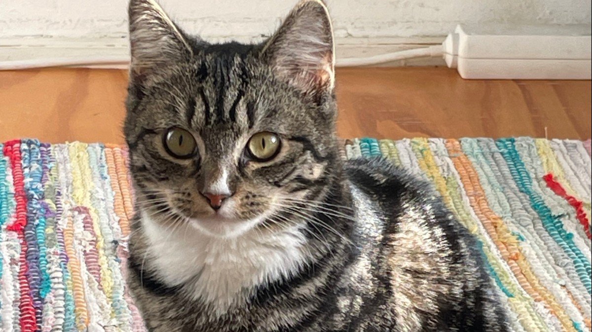 Mimi