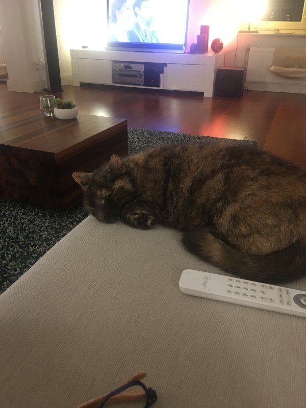 Sheva