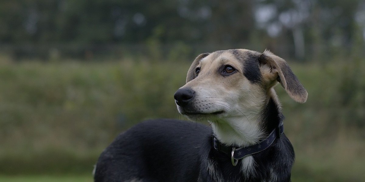 Graham