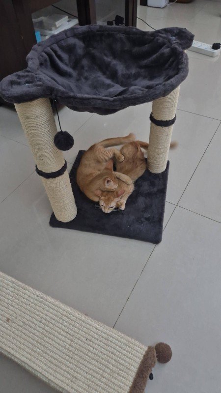 Copper