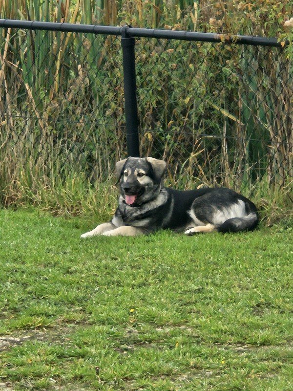 Micha