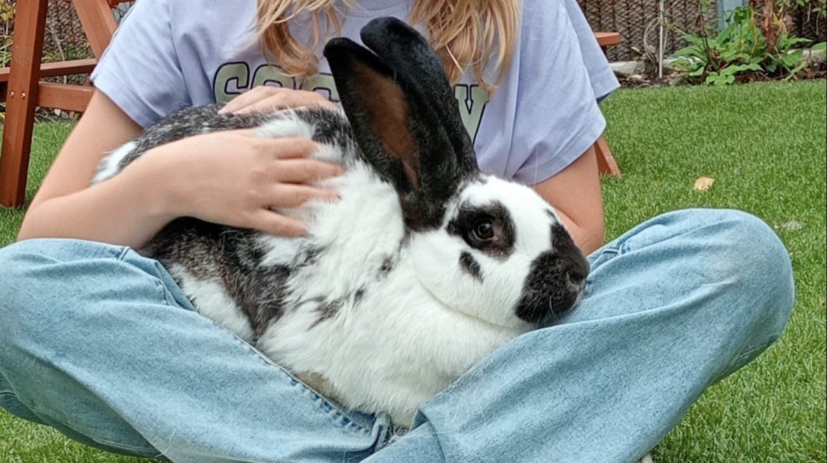 Flappie
