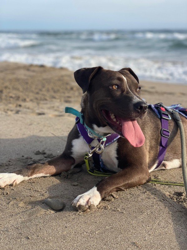 Xena