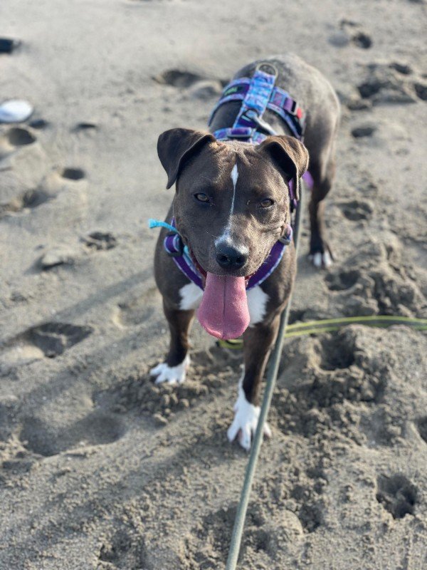 Xena