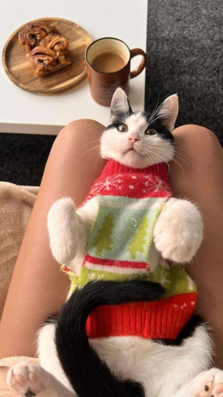 Ella