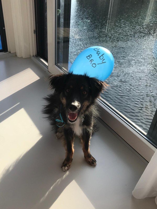 Milo