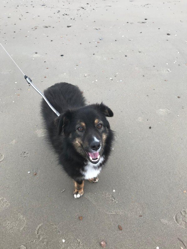 Milo