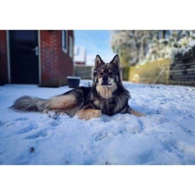 Freya