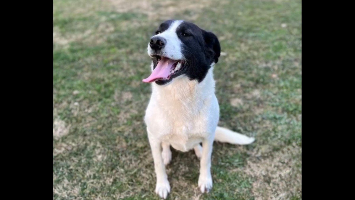 Lucy