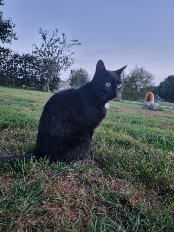 Kit