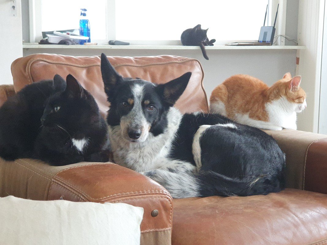 Kit