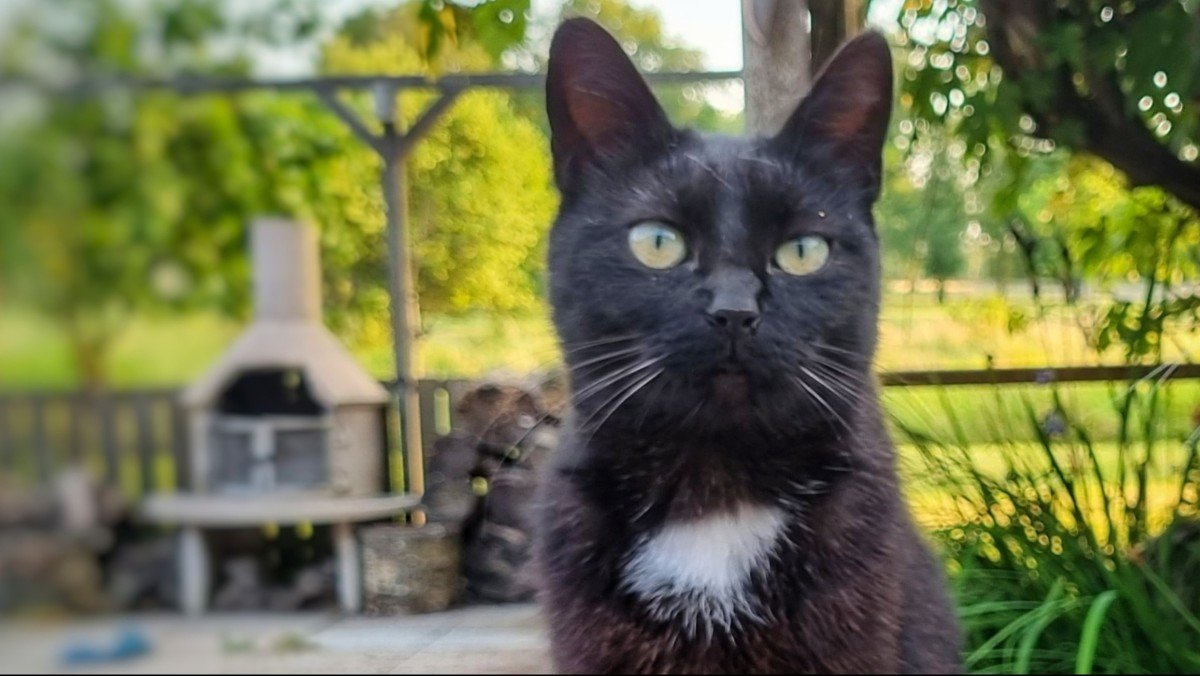 Kit