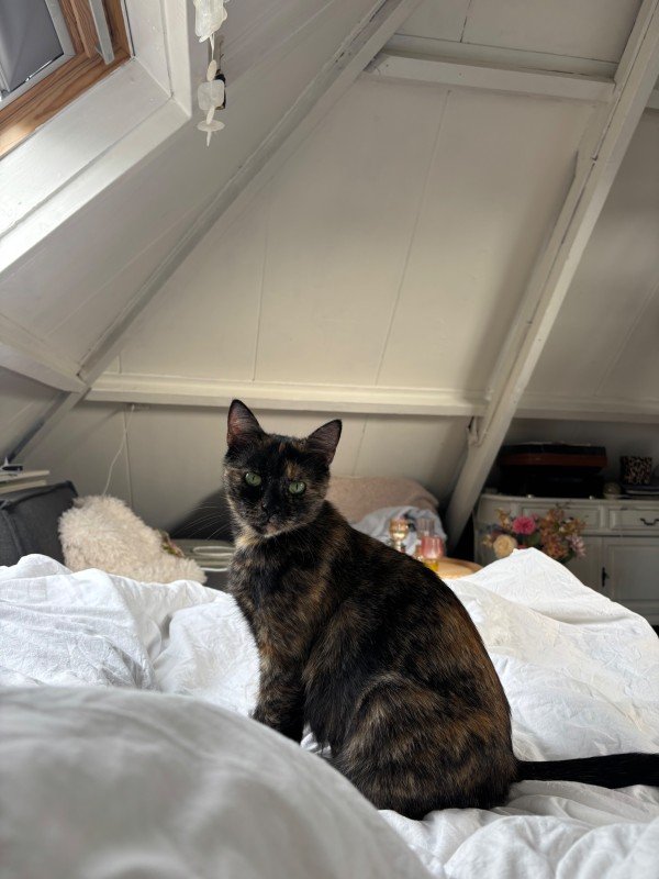 Nala