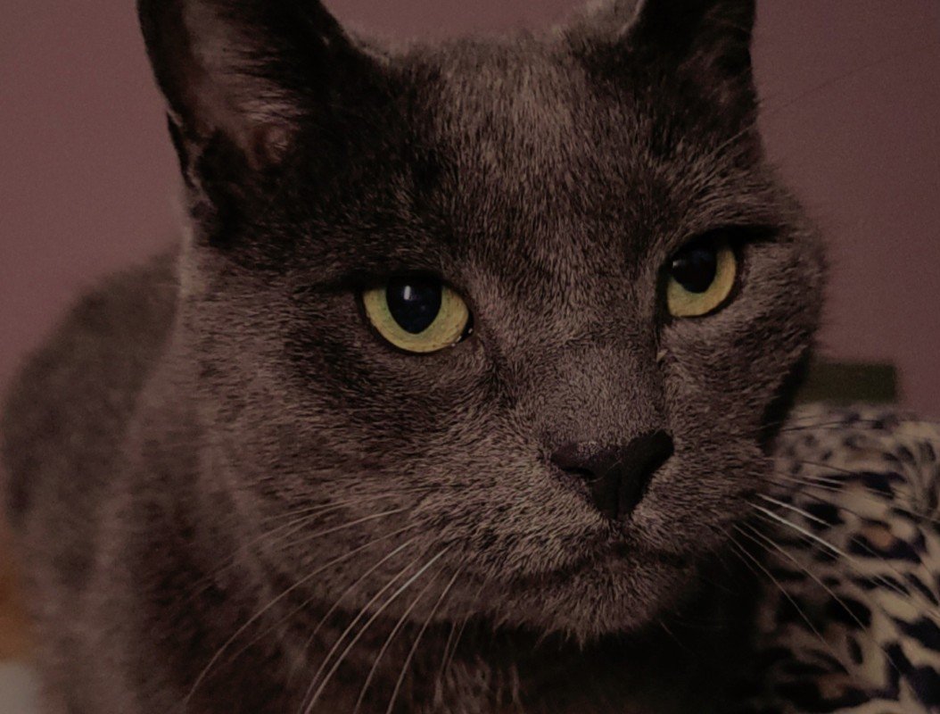 Boris
