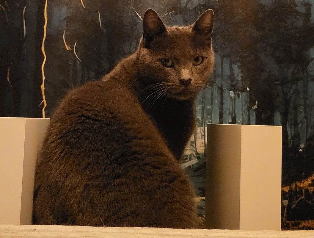 Boris