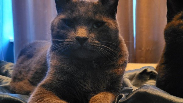 Boris