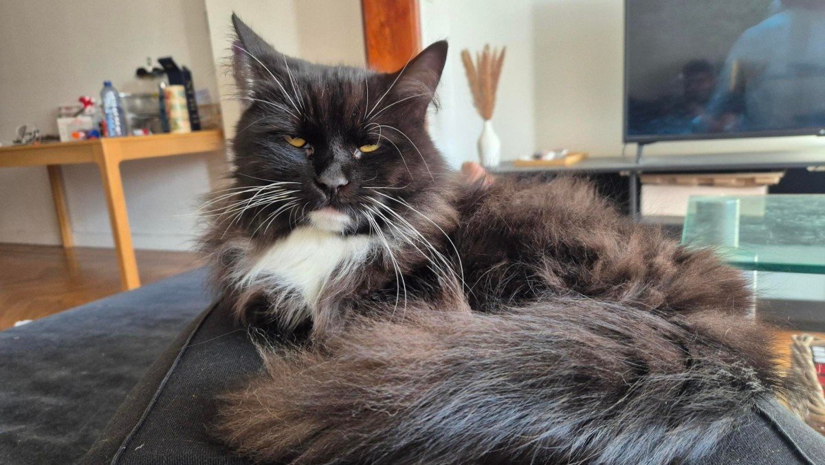 Carlos