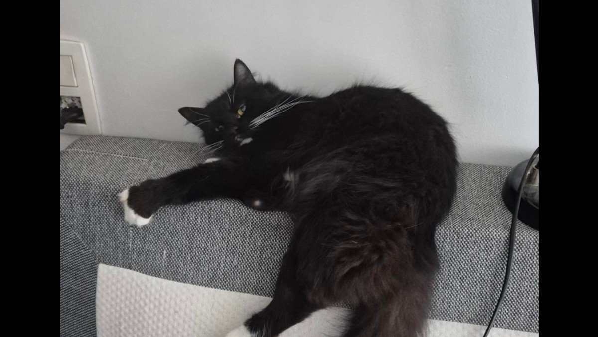 Carlos