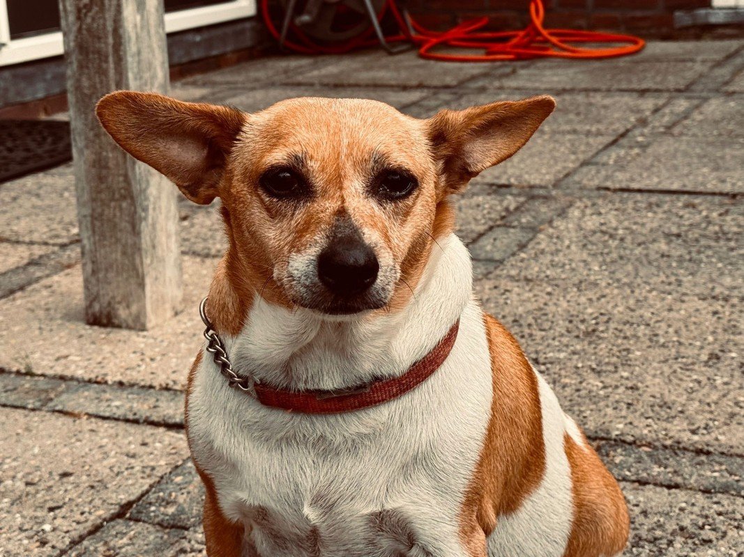 Unox