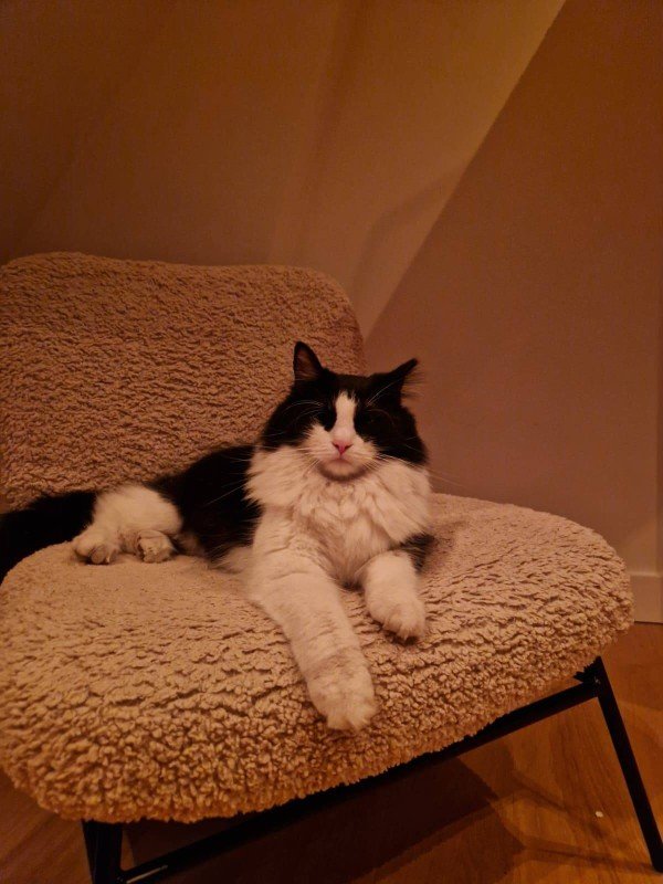 Hugo