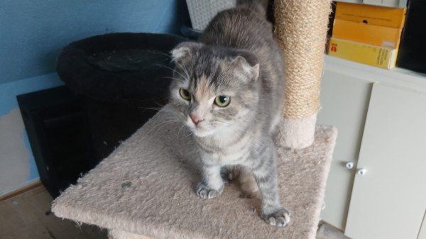 Bella