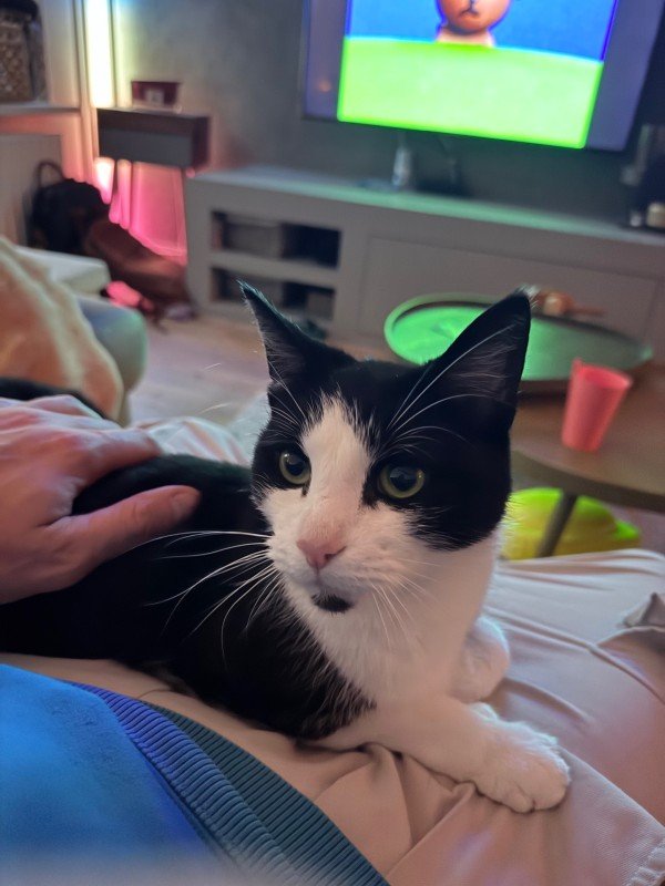 Nala