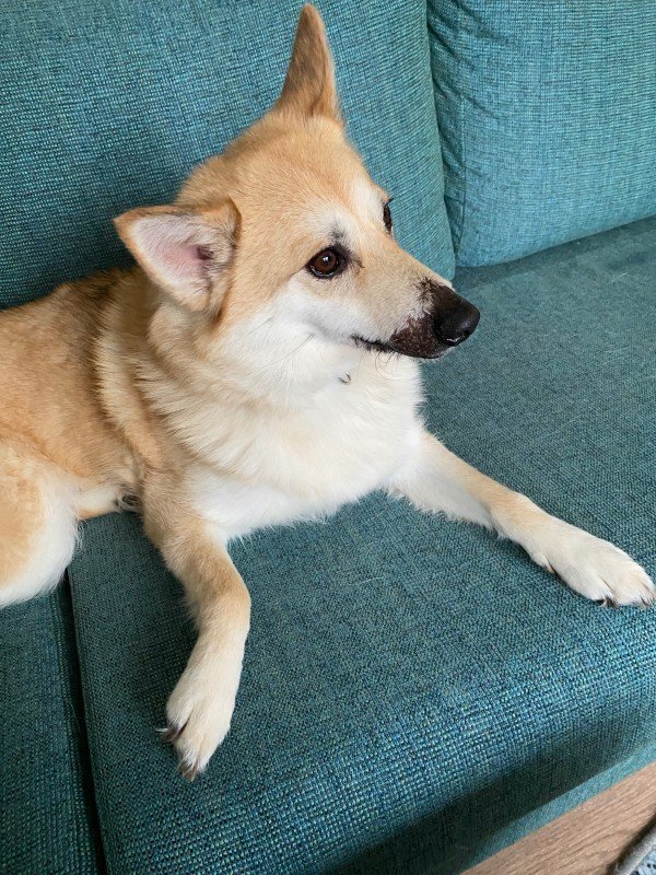 Bella