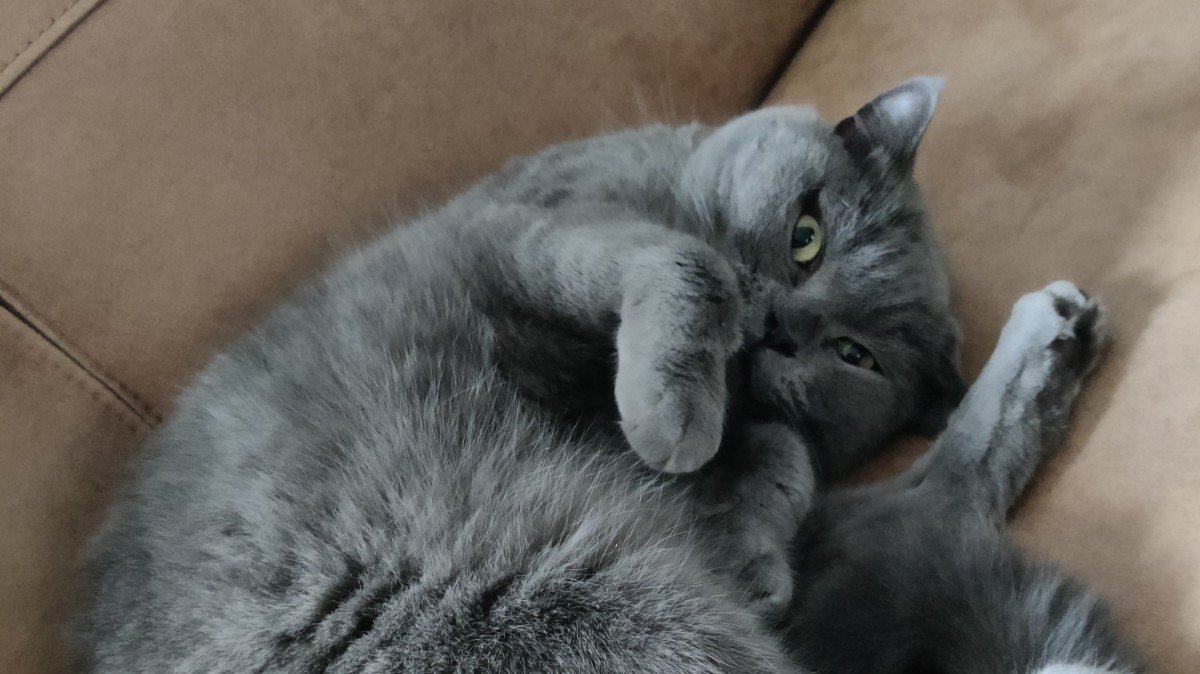 Poof