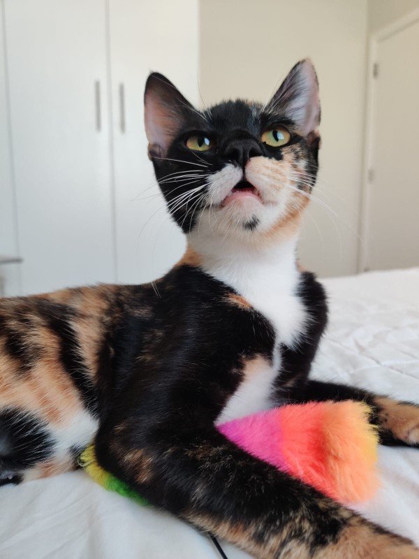 Sophie