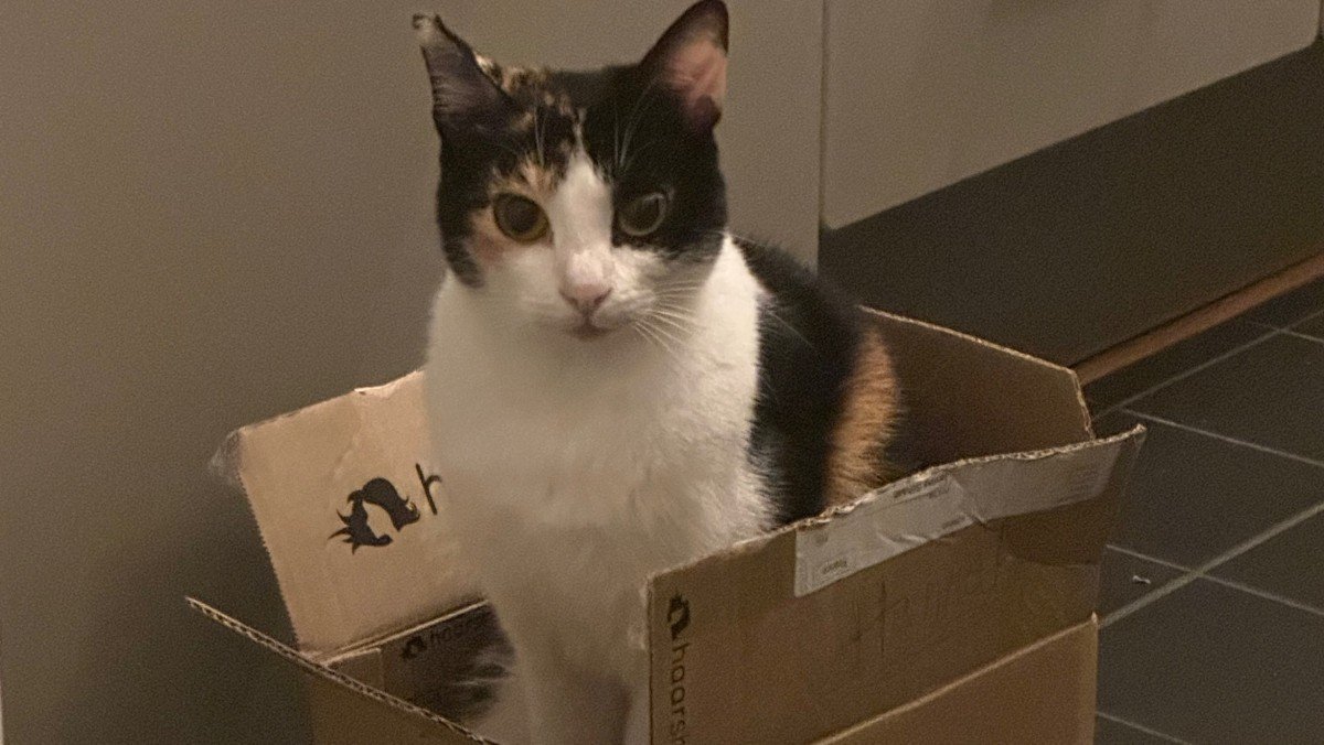 Matilda