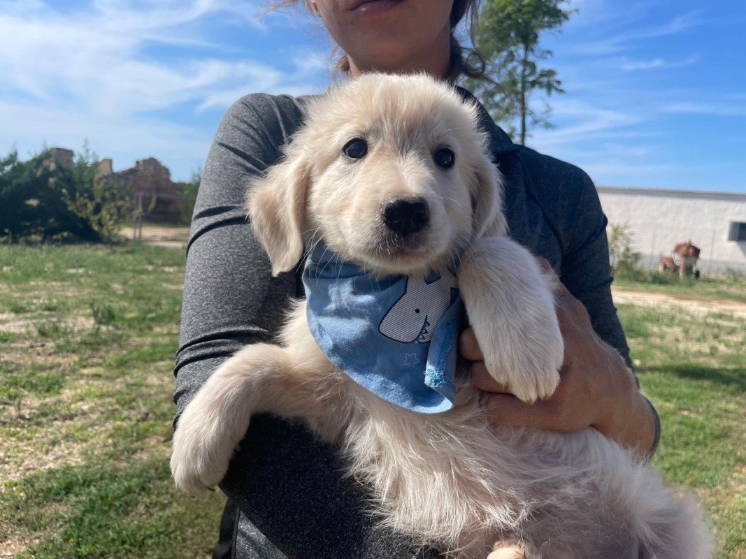Benny