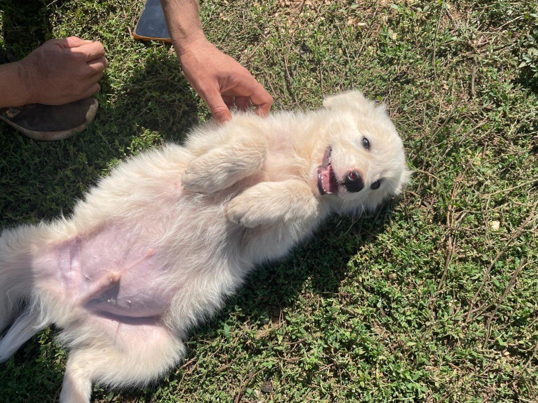 Balù