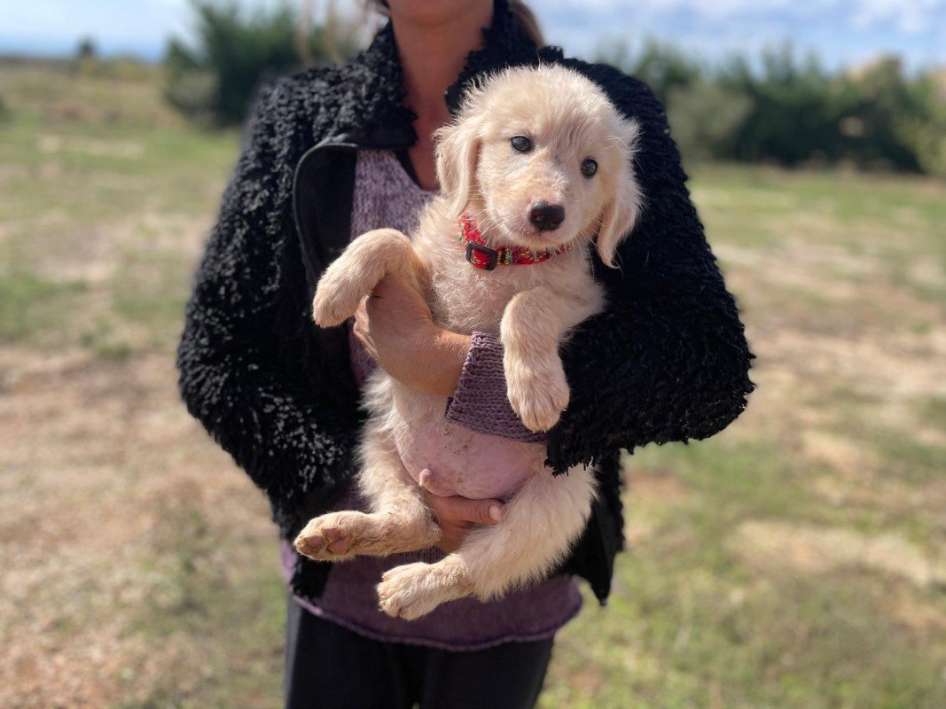 Balù