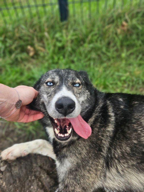 Bella